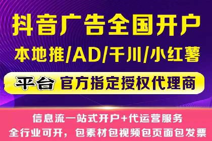 百度SEO推广公司案例分析：成功案例解析